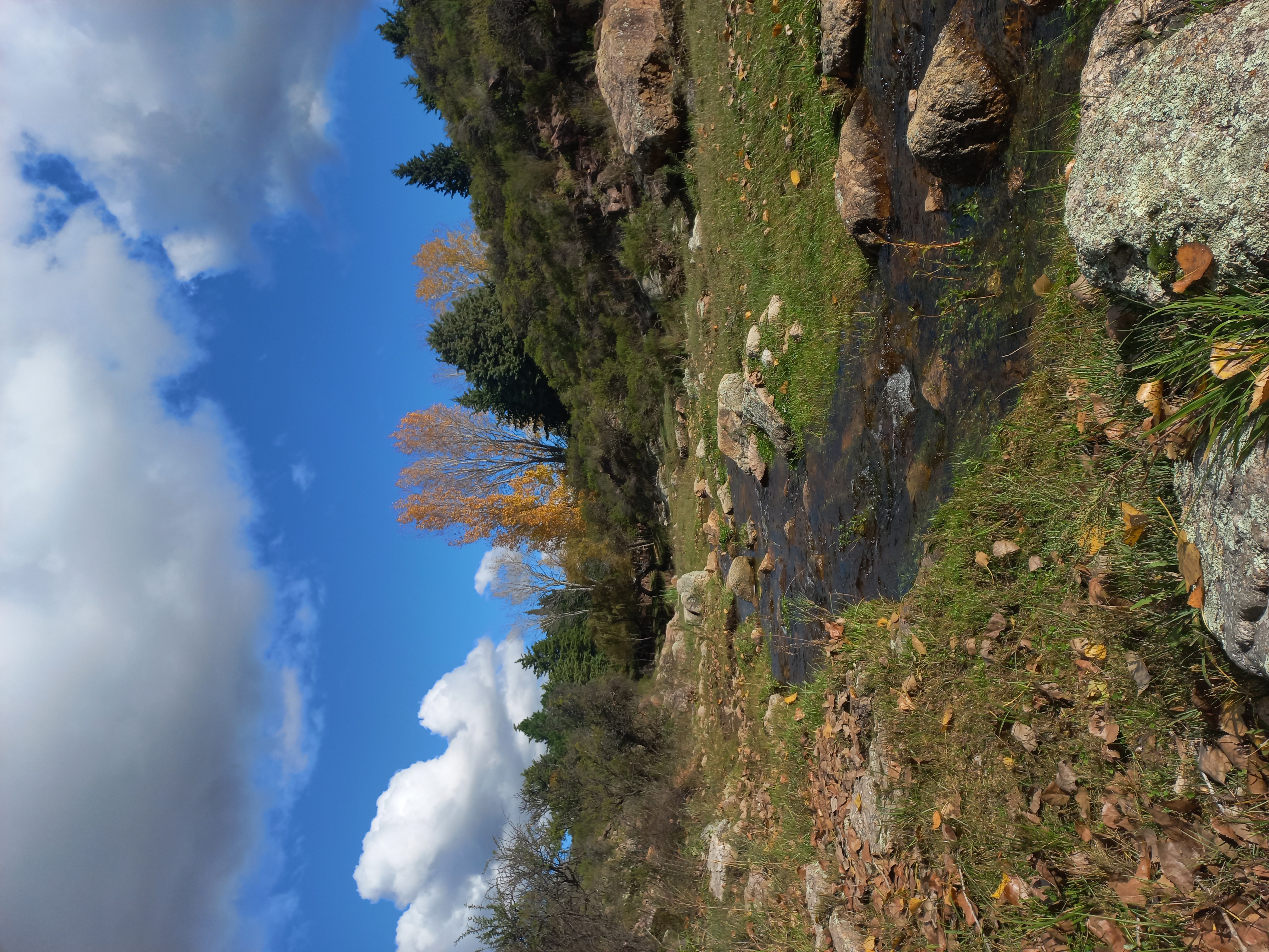 Alrededores Mina Clavero